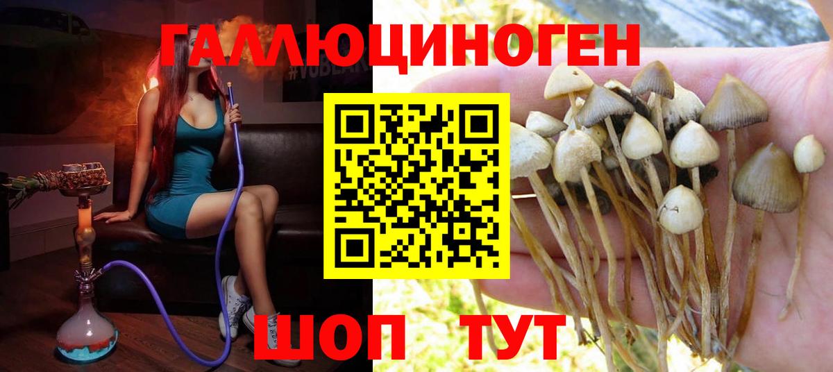 Лесной  Псилоцибиновые грибы Psilocybe  Вход с VPN  Галлюциногенные грибы MAGIC MUSHROOMS 